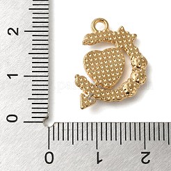 Legierung Emaille Strass Glas Anhänger&nbsp;X1-ENAM-U003-02G-04