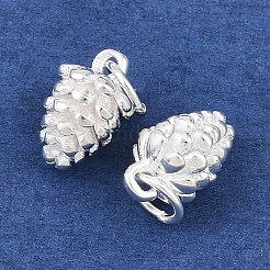 Encantos de plata 925 esterlina&nbsp;STER-I024-01S