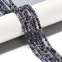 Naturperlen Stränge iolite&nbsp;G-G139-A11-03