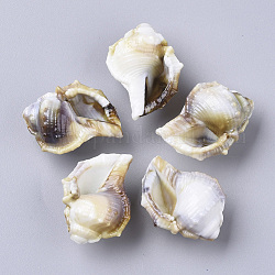 Perles acryliques, style de pierres fines imitation, cône coquille, floral blanc, 27.5x21.5x14mm, Trou: 1.8mm, environ207 pcs / 500 g.