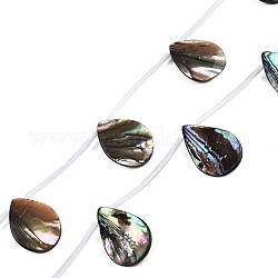 Natural Abalone Shell/Paua Shell Beads Strands, Teardrop, 24.5~25x18x4~6mm, Hole: 0.7mm, about 10pcs/strand, 16.14 inch(41cm)