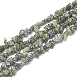 Natürliche Serpentin / grüne Spitze Stein Perlen Stränge, Chip, 5~11x3~9x1~9 mm, Bohrung: 1 mm, ca. 200~300 Stk. / Strang, 33.8 Zoll