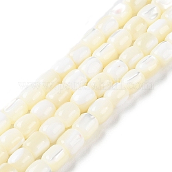 Fili di perline di conchiglia trochus naturale, barile, bianco floreale, 8x7.5mm, Foro: 1 mm, circa 50pcs/filo, 15.67'' (39.8 cm)