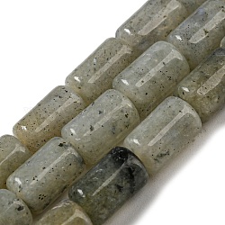 Chapelets de perles en labradorite naturelle , colonne, 10x6mm, Trou: 0.8mm, Environ 40 pcs/chapelet, 15.67'' (39.8 cm)