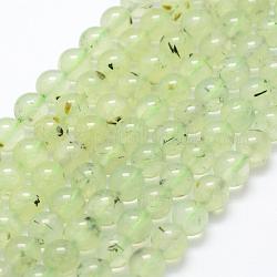 Chapelets de perles en préhnite naturelle, ronde, 8mm, Trou: 1mm, Environ 49 pcs/chapelet, 15.3 pouce (39 cm)
