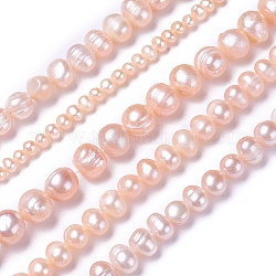 Fili di perle di perle d'acqua dolce coltivate naturali, patata, roso, 4~12x4~12mm, Foro: 0.5~1 mm, circa 28~100pcs/filo, 13.8 pollice ~ 15.7 pollici (35~40 cm)