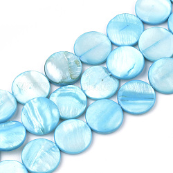 Бисеры из пресноводных оболочек, окрашенные, плоско-круглые, Плут синий, 15x2.5~4 мм, отверстие : 0.7 мм, около 26 шт / нитка, 14.9 дюйм
