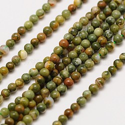 Pietra preziosa naturale perle tonde riolite diaspro fili, 3mm, Foro: 0.8 mm, circa 126pcs/filo, 16 pollice