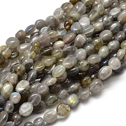 Labradorite naturali pepite perline fili, pietra burrattata, 5~10x6~7x3~7mm, Foro: 1 mm, circa 14.9 pollice ~ 15.7 pollici