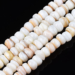Natural Trochid Shell/Trochus Shell Beads Strands, Undyed, Flat Round, 5~10x1~7mm, Hole: 1mm, about 94~116pcs/strand, 14.96 inch~15.94 inch(38cm~40.5cm)