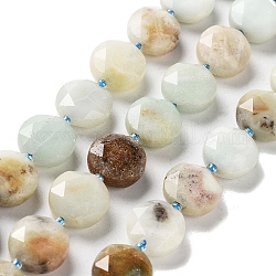 Brins de perles d'amazonite de fleurs naturelles, avec des perles de rocaille, coupe hexagonale facettée, plat rond, 12~12.5x5~6mm, Trou: 1.2~1.4mm, Environ 27~29 pcs/chapelet, 15.55~15.75 pouce (39.5~40 cm)