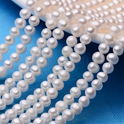 Hebras de perlas de perlas de agua dulce cultivadas naturales de papa, blanco cremoso, 5~6mm, agujero: 0.8 mm, aproximamente 65~72 pcs / cadena, 13.7 pulgada ~ 14.9 pulgadas