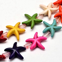 Морские звезды/морские звезды, синтетические бирюзовые бусины, окрашенные, разноцветные, 14x5 мм, отверстие : 1 мм, около 26 шт / нитка, 15.7 дюйм