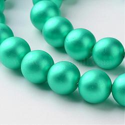 Chapelets de perles en coquille, mat, ronde, turquoise moyen, 8mm, Trou: 1mm, Environ 48 pcs/chapelet, 15.7 pouce