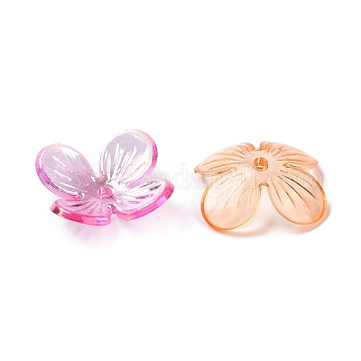 Bouchons transparents en acrylique&nbsp;SACR-A006-11-1