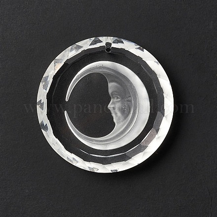 Ciondoli di vetro trasparente GLAA-F118-06-1