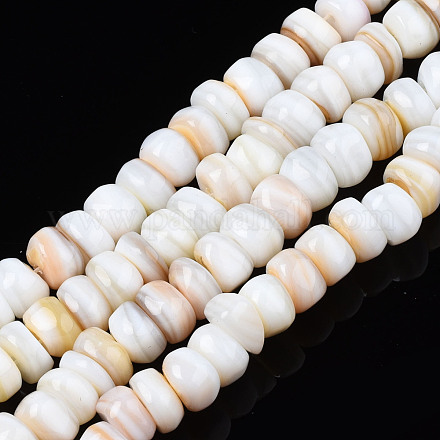 Natural Trochid Shell/Trochus Shell Beads Strands SHEL-S258-081-A01-1