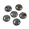 Natural Labradorite Cabochons, Half Round/Dome, 25x7~8mm