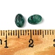 Synthetische grüne Jaspis-Cabochons&nbsp;G-A094-01A-34-3