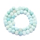 Natural Amazonite Beads Strands G-K310-A02-8mm-2