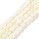 Brins de perles de coquillages naturels de troca BSHE-E030-05A-1