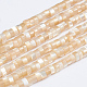 Natural Trochid Shell/Trochus Shell Beads Strands X-SSHEL-L016-13B-1