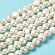Natural Cultured Freshwater Pearl Beads Strands PEAR-E017-21-2