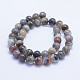 Natural Botswana Agate Beads Strands G-L478-41-10mm-3