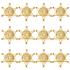 12 Stück Hexagramm-Kunststoff-Cabochons&nbsp;AJEW-MA0001-18G-1