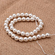 Polished Round Grade A Shell Pearl Bead Strands BSHE-M027-6mm-28-2