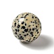 Perles de jaspe dalmatien naturelle G-A206-02-08-2