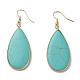 Synthetic Turquoise Dangle Earrings EJEW-L179-01L-1