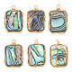 Aricraft 6 pièces pendentifs en coquille d'ormeau naturel/coquille de paua KK-AR0003-46-1