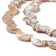 Drawbench Style Natural Freshwater Shell Beads Strands X-SHEL-F003-05-4