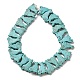 Synthetic Turquoise Beads Strands G-P507-07A-3