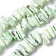 Brins de perles de trocas naturelles teintes&nbsp;SSHEL-C013-09I-1