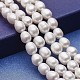 Natural Cultured Freshwater Pearl Beads Strands PEAR-P060-29B-1