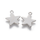 201 Stainless Steel Charms STAS-L233-031B-P-2