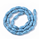 Synthetic Turquoise Beads Strands G-S364-051-2