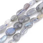 Chapelets de perles en labradorite naturelle , pierre roulée, pépites, 5~13x5~10x3~8mm, Trou: 1mm, Environ 40~60 pcs/chapelet, 14.57 pouce ~ 15.74 pouces (37~40 cm)