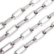 304 Stainless Steel Paperclip Chains STAS-R100-38