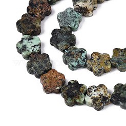 Hebras de cuentas de turquesa africana natural (jaspe)&nbsp;LS-G-N257-24A-05
