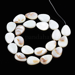 Shell normal de perles blanches de brins&nbsp;PBB263Y-1