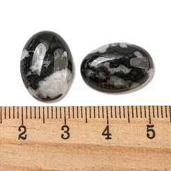 Natürliche Zebra-Jaspis Cabochon&nbsp;X-G-C115-01A-39