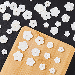 120 pz 6 stili perline di conchiglie bianche naturali&nbsp;SHEL-GA0001-26