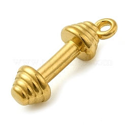 Ionenplattierung (IP) 304 Edelstahlanhänger&nbsp;STAS-M070-18G