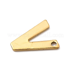 Anhänger aus 304 Edelstahl&nbsp;STAS-B093-12G-V