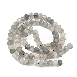 Fili di perline di labradorite naturale rondelle&nbsp;G-O095-04-A-01A