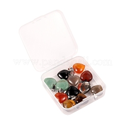 12pcs 6 natürliche Edelsteinanhänger im Stil&nbsp;G-LS0002-10