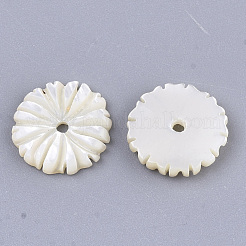 Cuentas de concha natural de blanco&nbsp;SSHEL-R045-23